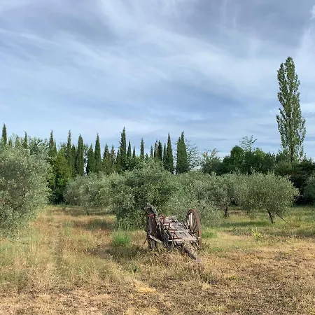 Villa Mas De La Riale