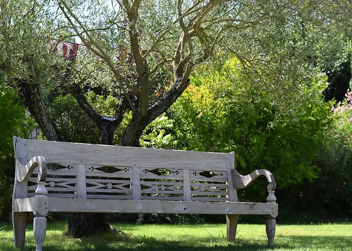 Mas De La Riale Orman Evi