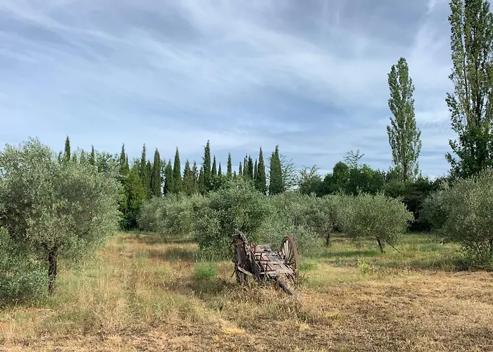 Orman Evi Mas De La Riale